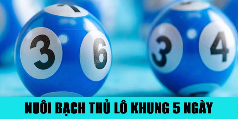 Nuôi bạch thủ lô khung 5 ngày